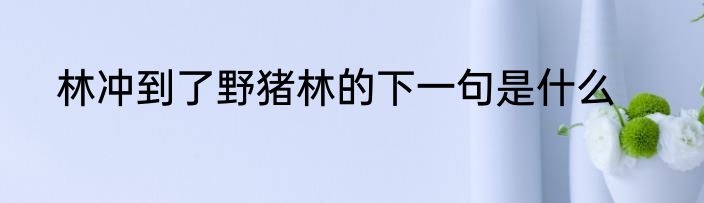 林冲到了野猪林的下一句是什么