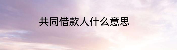 共同借款人什么意思