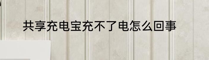 共享充电宝充不了电怎么回事