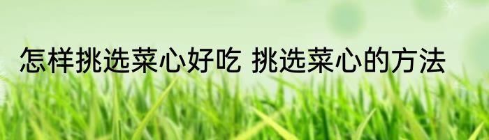 怎样挑选菜心好吃 挑选菜心的方法