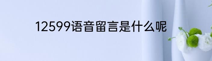 12599语音留言是什么呢