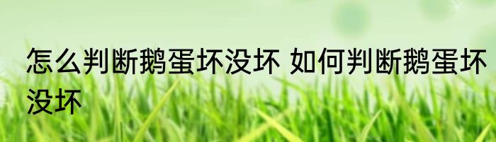 怎么判断鹅蛋坏没坏 如何判断鹅蛋坏没坏