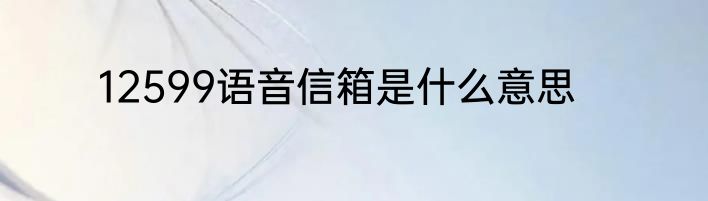 12599语音信箱是什么意思
