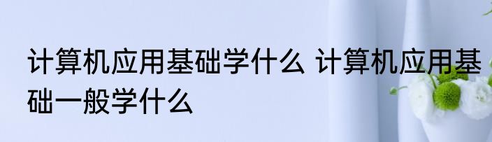 计算机应用基础学什么 计算机应用基础一般学什么