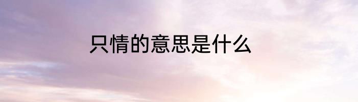 只情的意思是什么