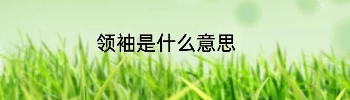 领袖是什么意思