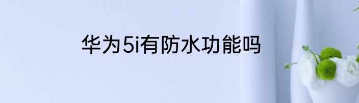 华为5i有防水功能吗