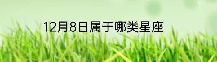 12月8日属于哪类星座