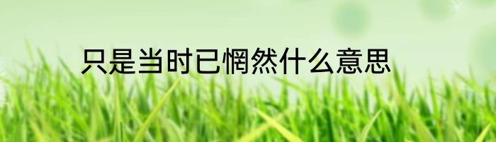 只是当时已惘然什么意思