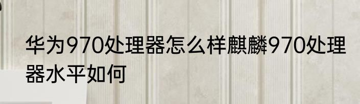 华为970处理器怎么样麒麟970处理器水平如何