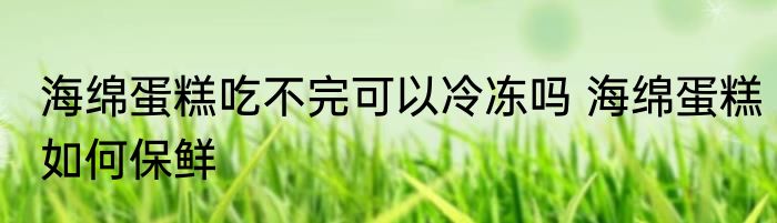 海绵蛋糕吃不完可以冷冻吗 海绵蛋糕如何保鲜