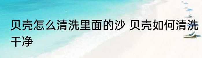 贝壳怎么清洗里面的沙 贝壳如何清洗干净