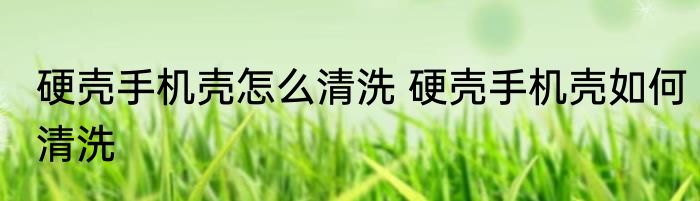 硬壳手机壳怎么清洗 硬壳手机壳如何清洗