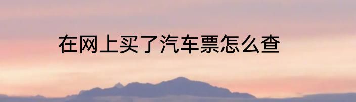 在网上买了汽车票怎么查