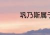巩乃斯属于南疆还是北疆
