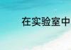 在实验室中制取氧气的实验.