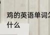 鸡的英语单词怎么写 鸡的英语单词是什么