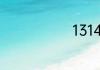 1314真正含义