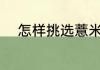 怎样挑选薏米好吃 挑选薏米方法
