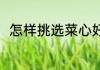 怎样挑选菜心好吃 挑选菜心的方法