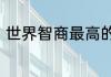 世界智商最高的人智商的标准是多少