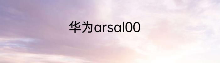 华为arsal00