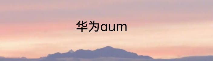 华为aum