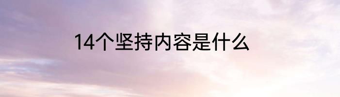14个坚持内容是什么