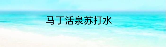 马丁活泉苏打水