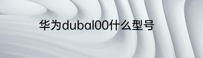 华为dubal00什么型号