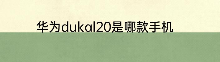 华为dukal20是哪款手机