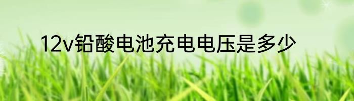 12v铅酸电池充电电压是多少