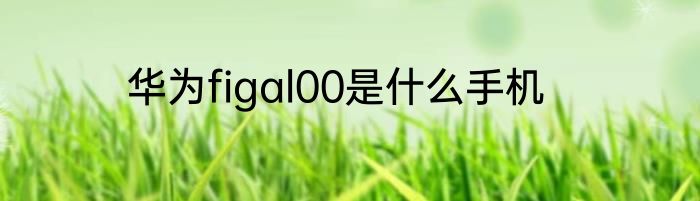 华为figal00是什么手机