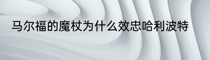 马尔福的魔杖为什么效忠哈利波特
