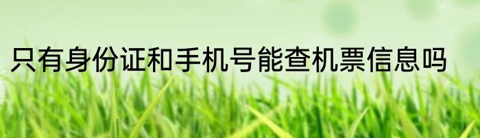 只有身份证和手机号能查机票信息吗