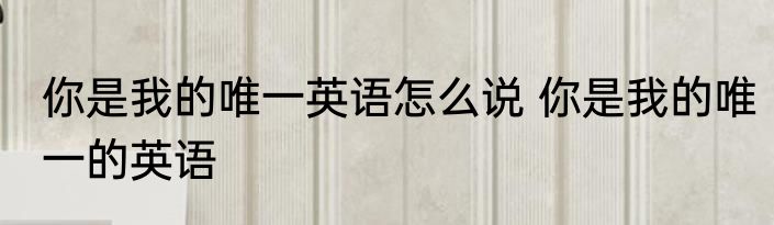 你是我的唯一英语怎么说 你是我的唯一的英语