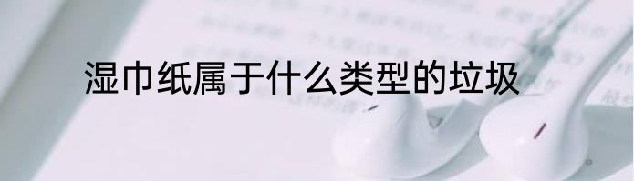 湿巾纸属于什么类型的垃圾