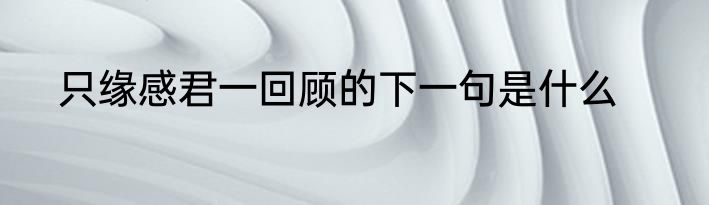 只缘感君一回顾的下一句是什么