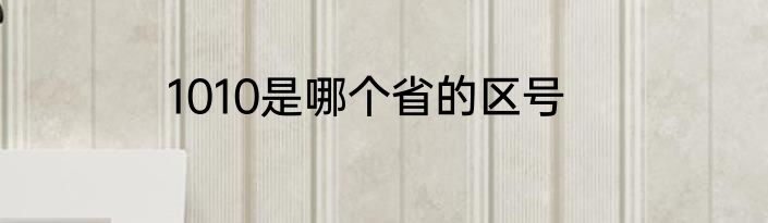 1010是哪个省的区号