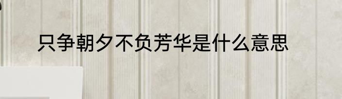 只争朝夕不负芳华是什么意思