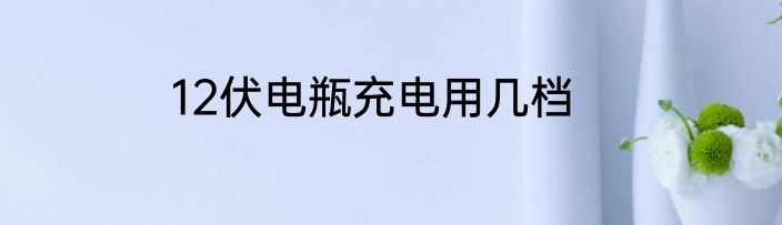 12伏电瓶充电用几档