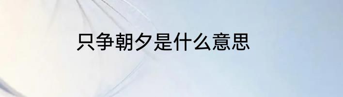 只争朝夕是什么意思