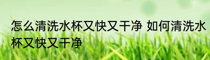 怎么清洗水杯又快又干净 如何清洗水杯又快又干净