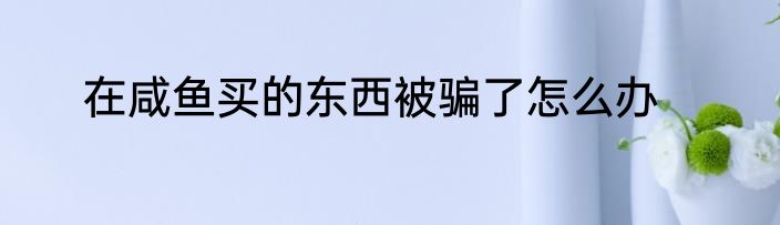 在咸鱼买的东西被骗了怎么办