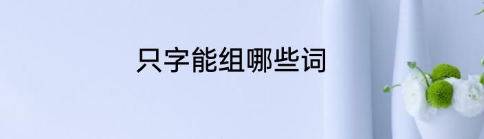 只字能组哪些词