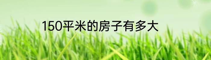 150平米的房子有多大