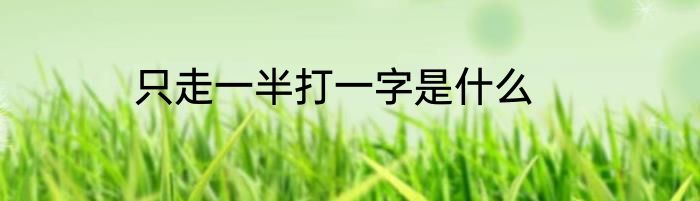 只走一半打一字是什么