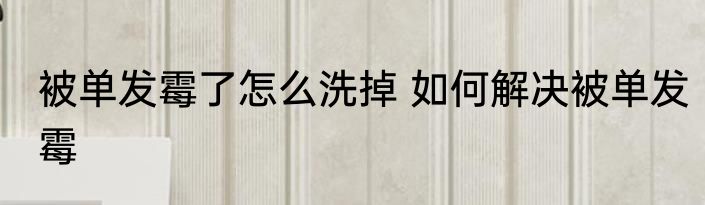 被单发霉了怎么洗掉 如何解决被单发霉