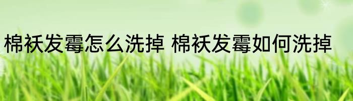 棉袄发霉怎么洗掉 棉袄发霉如何洗掉