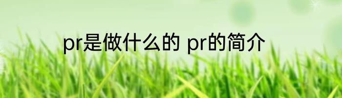 pr是做什么的 pr的简介